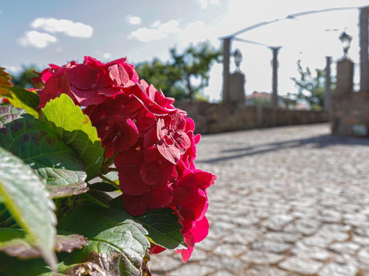 Quinta Soutelinho Daire Sabrosa Dış mekan fotoğraf