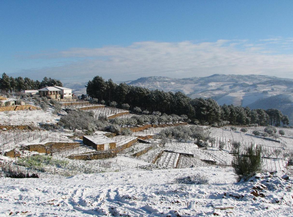 Quinta Soutelinho Daire Sabrosa Dış mekan fotoğraf